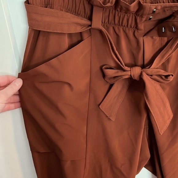 ATHLETA Skyline Rust Color Stretch Belted Casual Pull-on Ankle Pants Size 12 - Picture 7 of 15